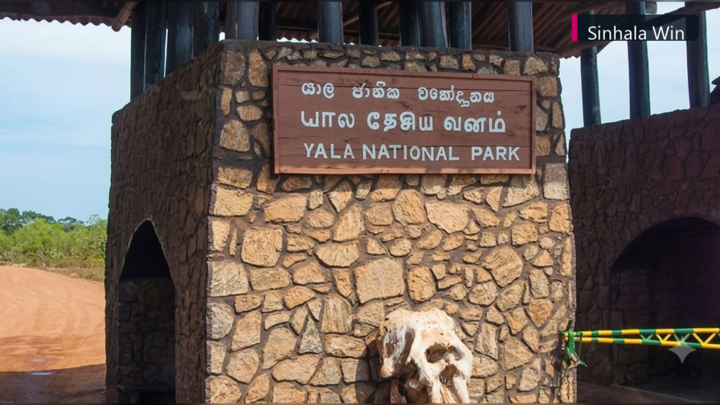 යාල වනෝද්‍යානයේ නීති උල්ලංඝනය කළ පිරිසක් අත්අඩංගුවට