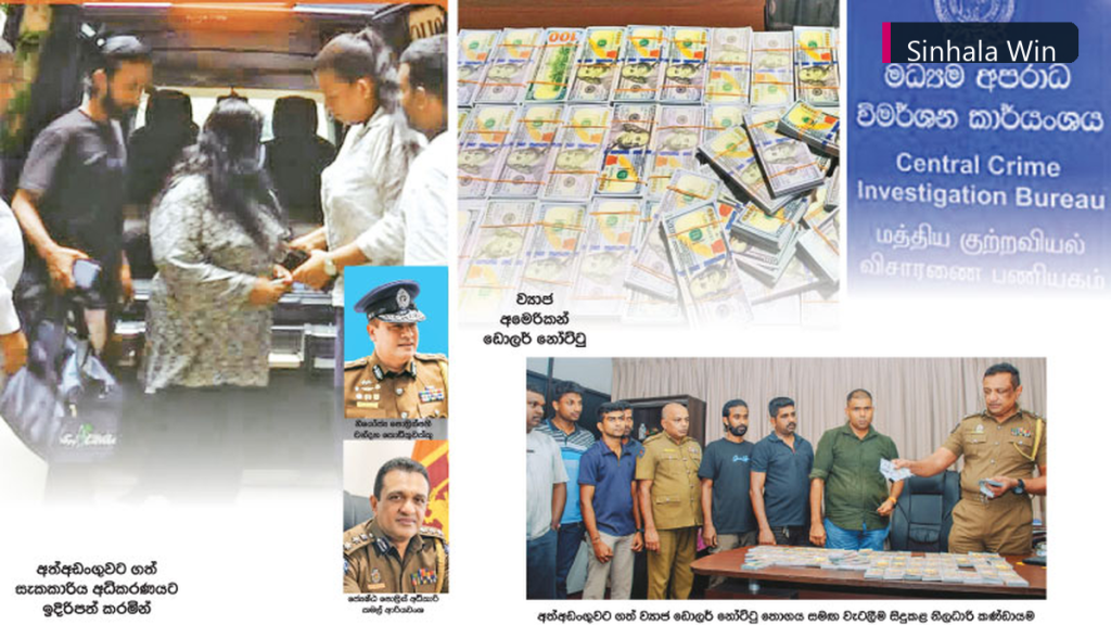 රුපියල් කෝටි 21ක ව්‍යාජ ඩොලර් ජාවාරමක නිරත කාන්තාවක් කොටුවෙයි