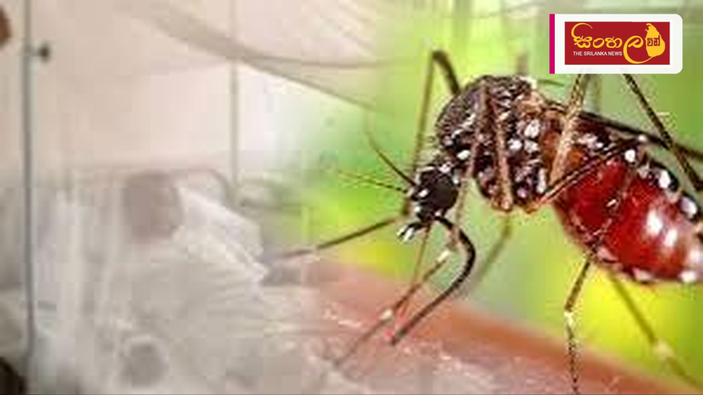 ඩෙංගු රෝගීන් ලක්ෂය ඉක්මවා යාමේ දැඩි අවදානමක් - සෞඛ්‍ය අංශවලින් රටටම රතු එළියක්