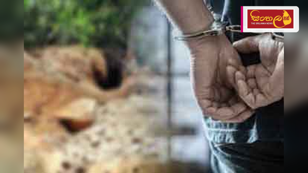 පුරාවස්තු සෙවීමට කැණීම් කළ පුද්ගලයෙකු දඹගල්ලේදී අත්අඩංගුවට