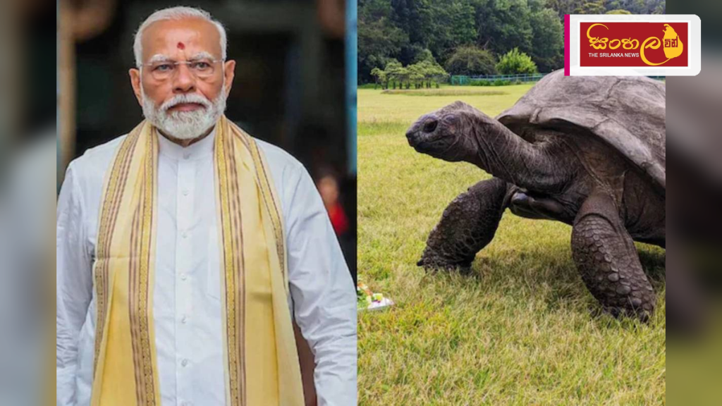 සීෂෙල්ස් සංචාරයක නිරත ඉන්දීය අගමැති මෝදි ලොව වයස්ගතම කැස්බෑවා හමුවෙයි
