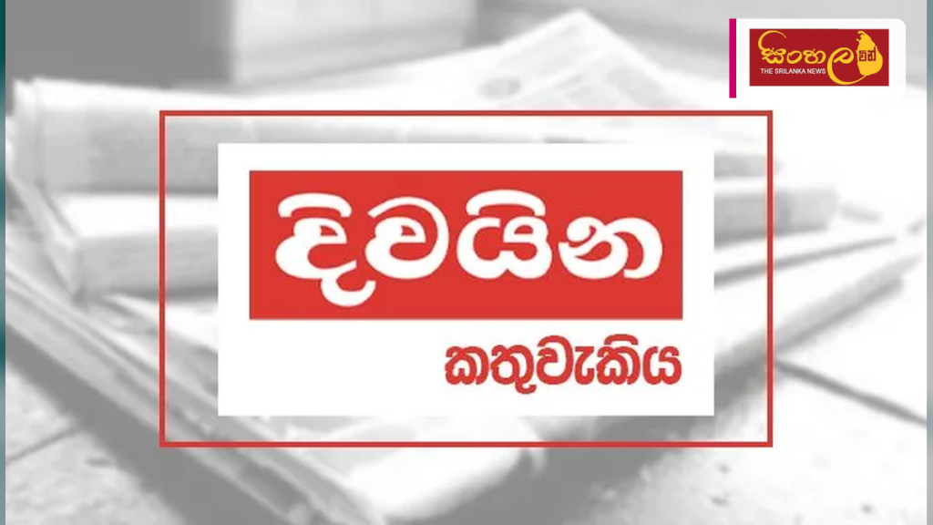 පොසොන් උදාව සහ ඩෙංගු උවදුර: සමාජ වගකීම සහ අසාර්ථක වූ මර්දන වැඩසටහන්