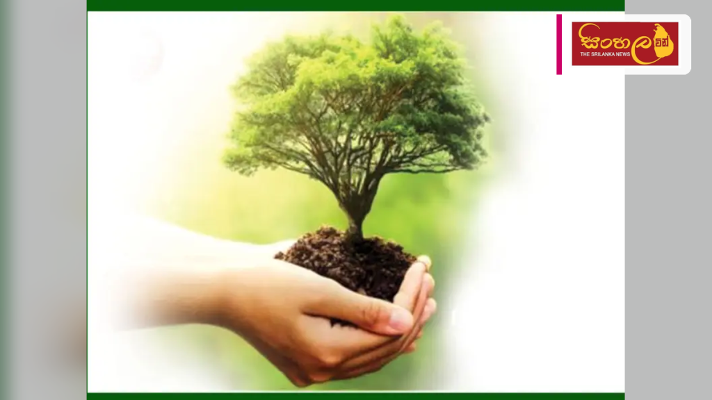 ජගත් වනාන්තර දිනය සමරමින් තවත් වනාන්තර 50ක් රක්ෂිත වනාන්තර ලෙස නම් කෙරේ