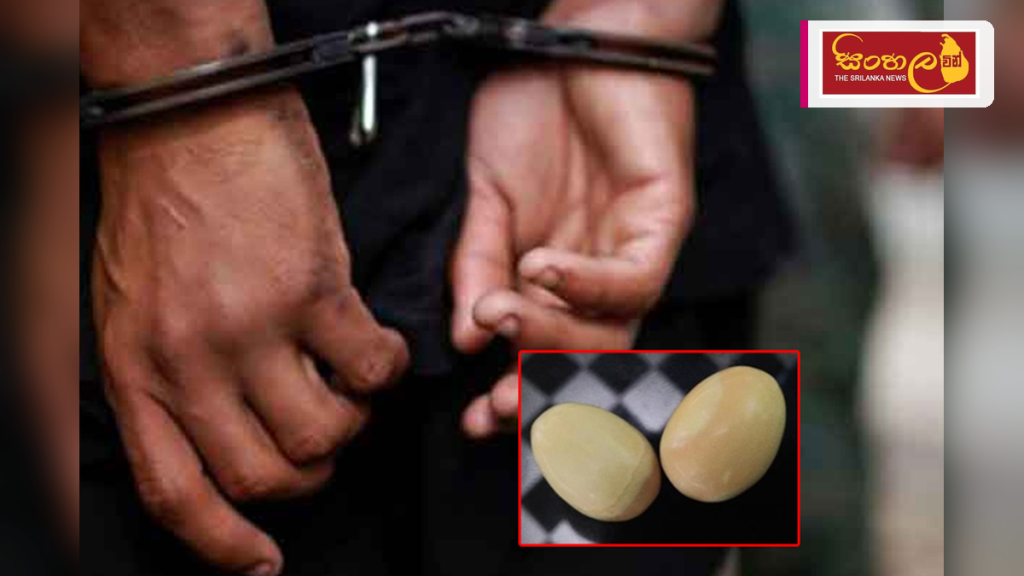 ගජමුතු දෙකක් විකිණීමට තැත් කළ තිදෙනෙක් කොළඹදී අත්අඩංගුවට