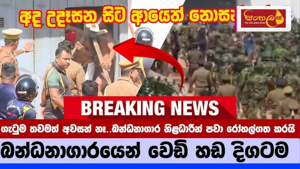 මීගමුව බන්ධනාගාරයේ සිදුවූ ඛේදවාචකය සහ දේශපාලන කරළිය
