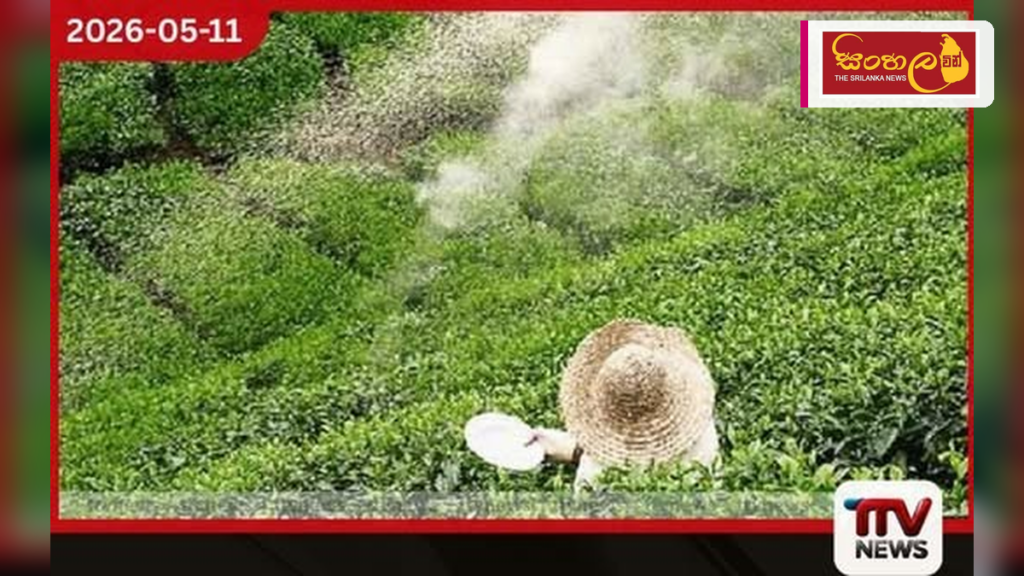 කුඩා තේ වතු හිමියන් වෙනුවෙන් QR ක්‍රමයට පොහොර සහනාධාර