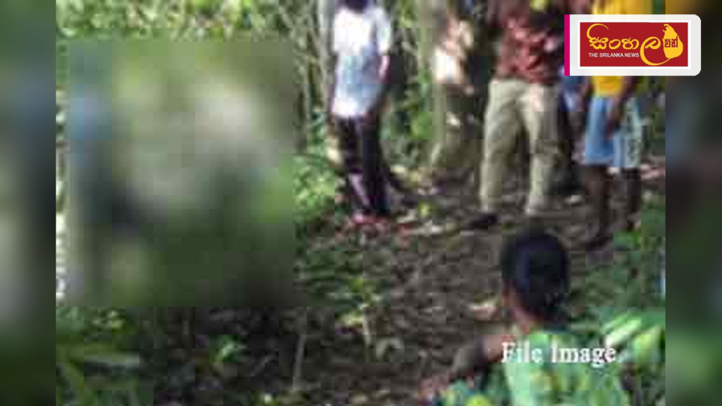 නොච්චියාගමදී මාළු අල්ලන්න ගිය පුද්ගලයෙකු දියේ ගිලී මියයයි