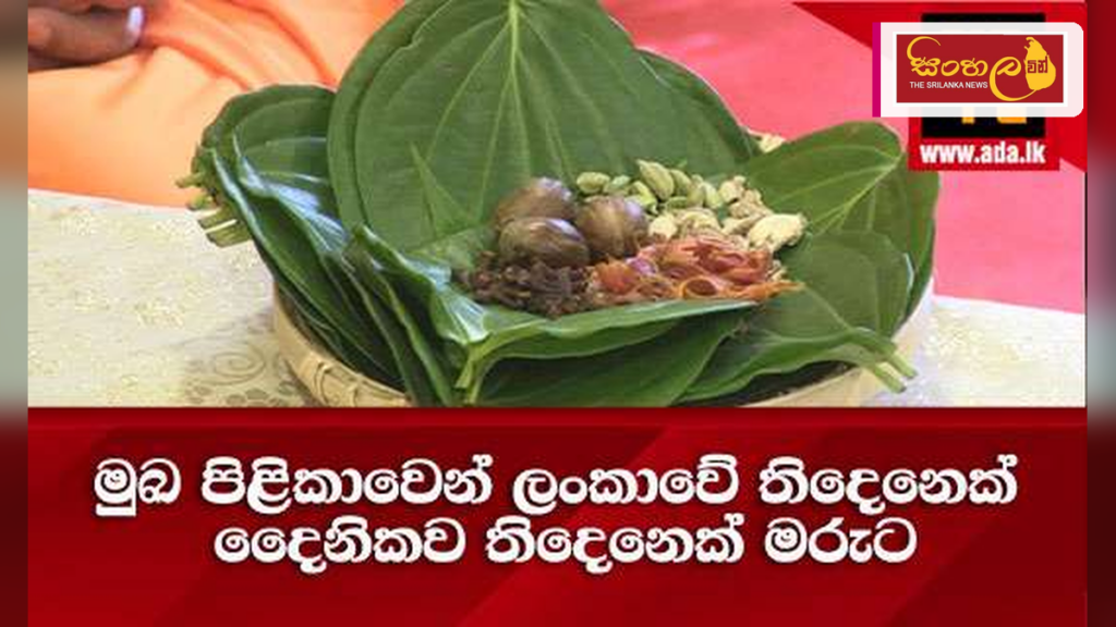 මුඛ පිළිකාවෙන් දිනකට තිදෙනෙකු මරුට: බුලත් විට සමඟ දුම්කොළ භාවිතය ගැන අනතුරු ඇඟවීමක්