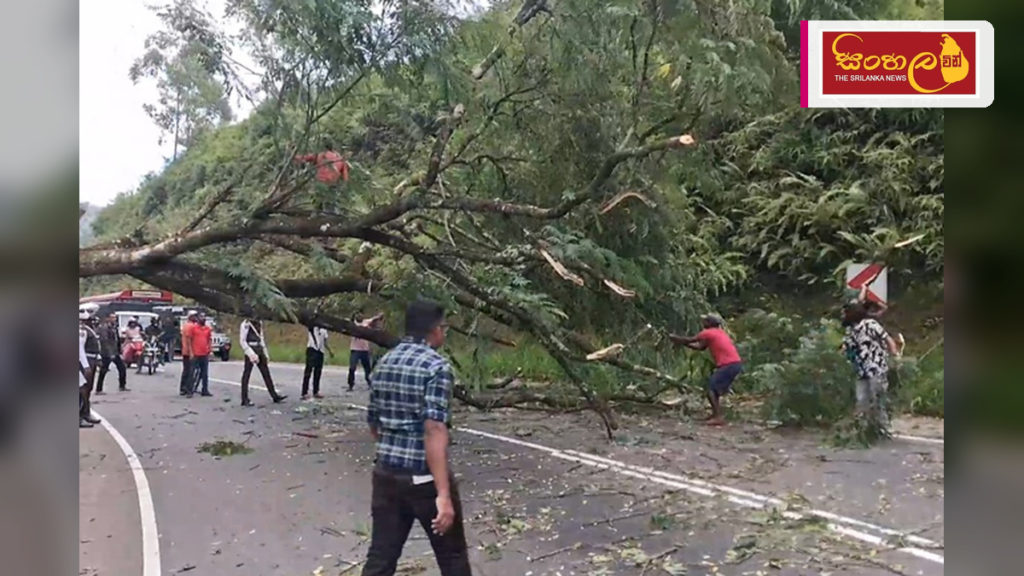 හැටන් - කොළඹ මාර්ගයේ ගසක් කඩා වැටෙයි: ගමනාගමනයට බාධා