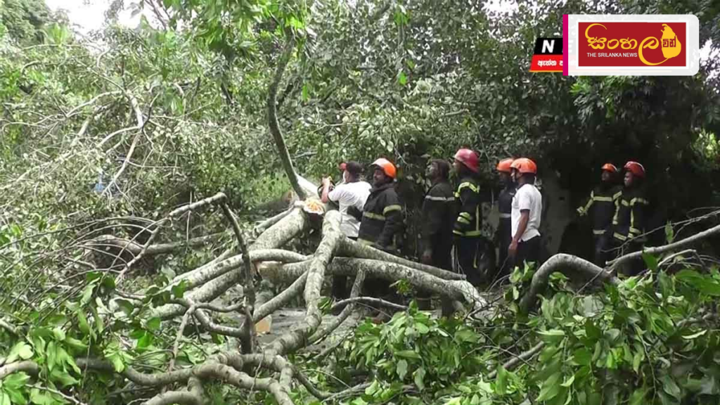 කරන්දෙණියේ දේවාලයකදී මී ගසක අත්තක් කඩා වැටී කාන්තාවක් ජීවිතක්ෂයට