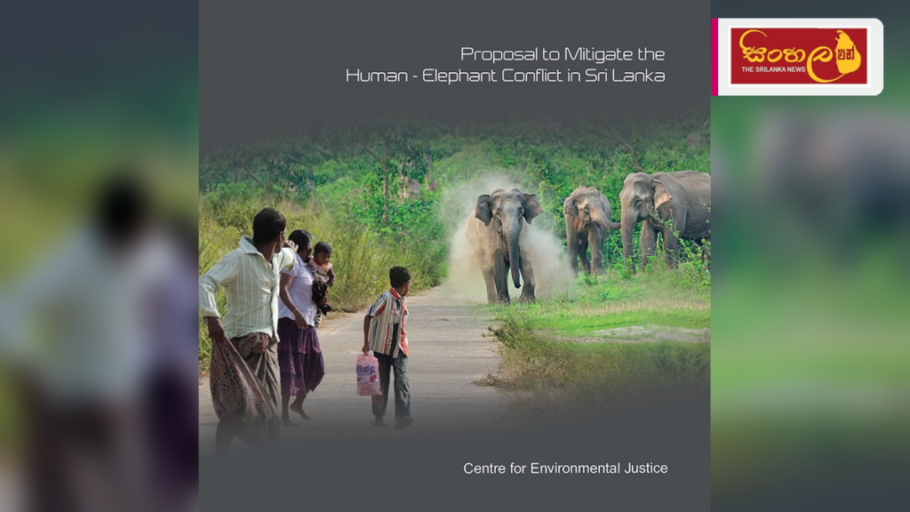 අලි – මිනිස් ගැටුම පාලනයට නව ජාතික සැලැස්මක් අලි - මිනිස් ගැටුම පාලනයට නව ජාතික සැලැස්මක්