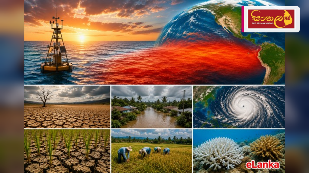 එල් නිනෝ බලපෑමෙන් ලෝක ආහාර සුරක්ෂිතතාවයට දැඩි තර්ජනයක්: මිලියන 49ක් උග්ර ආහාර අර්බුදයකට එල් නිනෝ බලපෑමෙන් ලෝක ආහාර සුරක්ෂිතතාවයට දැඩි තර්ජනයක්: මිලියන 49ක් උග්ර ආහාර අර්බුදයකට