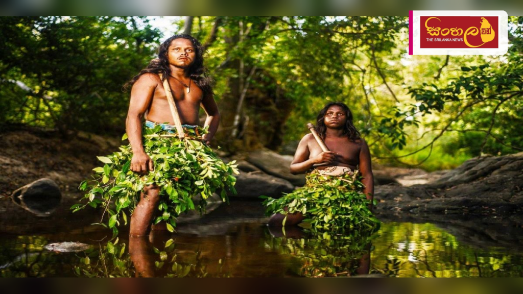 ජාත්යන්තර ආදිවාසී දිනයේදී මෙරට ආදිවාසීන්ට විශේෂ සහනයක් ජාත්යන්තර ආදිවාසී දිනයේදී මෙරට ආදිවාසීන්ට විශේෂ සහනයක්
