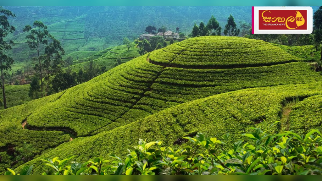 Headline: කෑගල්ලට මි.මී. 104ක ඉහළම වර්ෂාපතනයක් Intended image subject: Rainy weather in Sri Lanka Story summary: පසුගිය පැය කිහිපය තුළ දිවයිනේ ප්‍රදේශ කිහිපයකට ඉහළ වර්ෂාපතනයක් ලැබී