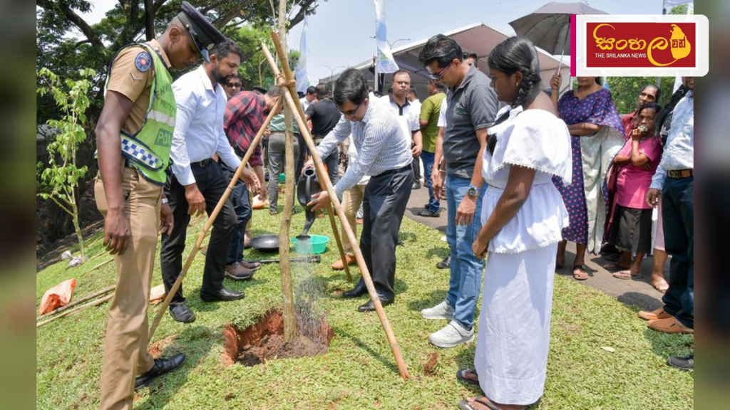 Headline: තවත් අක්කර 9,538ක වනාන්තරයක් ආරක්ෂිත ප්‍රදේශයක් බවට පත් කෙරේ Intended image subject: Forestry Department Story summary: නුවරඑළිය, කෑගල්ල, අම්පාර, බදුල්ල, වව්නියාව සහ අනුර