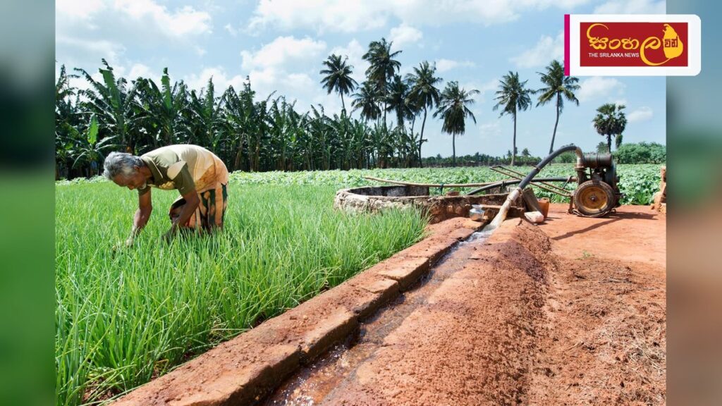 යාපනයේ භූගත ජල සම්පත් කළමනාකරණය සඳහා නව ඒකකයක් Headline: යාපනයේ භූගත ජල සම්පත් කළමනාකරණය සඳහා නව ඒකකයක් Intended image subject: Jaffna landscape with water resources Story summary: යාපනය අර්ධද්වීපයේ භූගත ජල මූලාශ්ර විද්යාත්මක