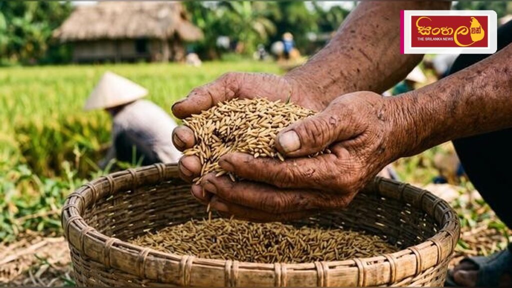 Headline: ලෝක ආහාර දිනය අද: බඩගින්නෙන් තොර හෙටක් උදෙසා අපේ වගකීම Intended image subject: World Food Day conceptual image featuring agriculture and food security Story summary: අදට